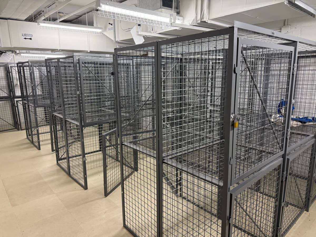 Entrepôt vidé, cages métalliques démontées